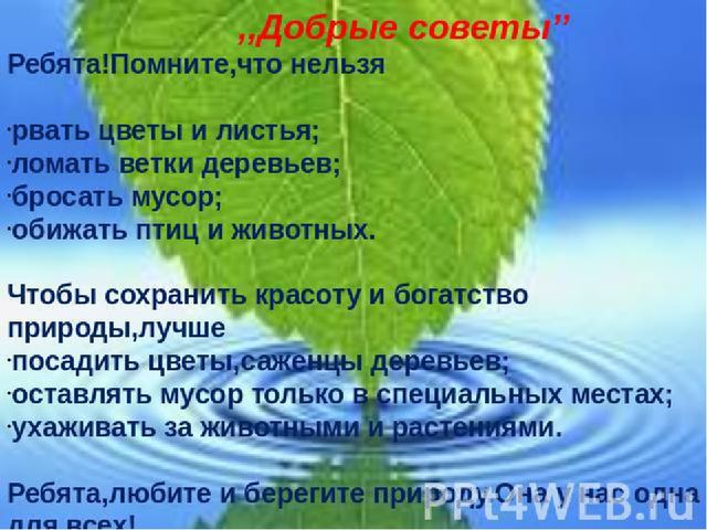 Презентация по экологическому воспитанию "Всемирный день защиты окружающей среды"