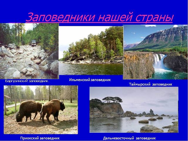 Презентация по экологическому воспитанию "Всемирный день защиты окружающей среды"