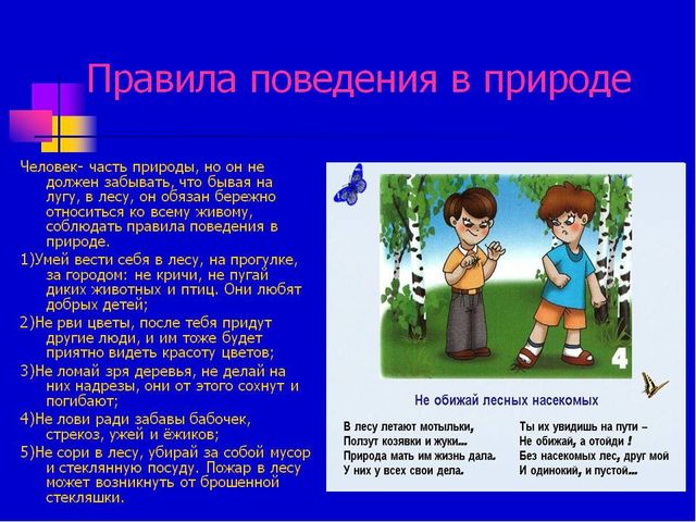 Презентация по экологическому воспитанию "Всемирный день защиты окружающей среды"