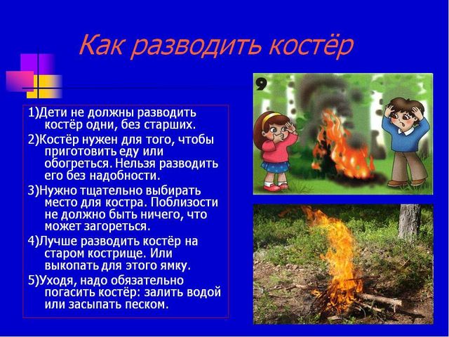 Презентация по экологическому воспитанию "Всемирный день защиты окружающей среды"
