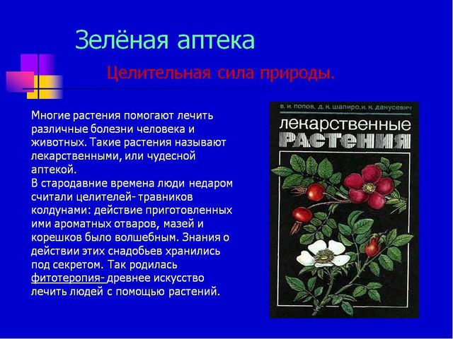 Презентация по экологическому воспитанию "Всемирный день защиты окружающей среды"