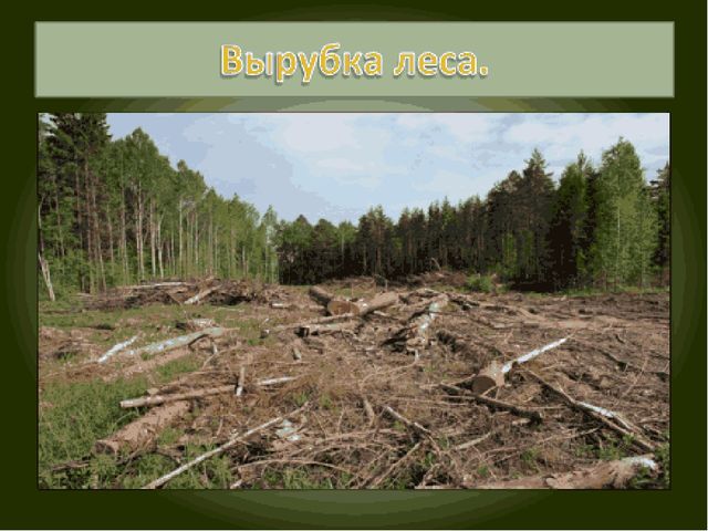 Презентация по экологическому воспитанию "Всемирный день защиты окружающей среды"