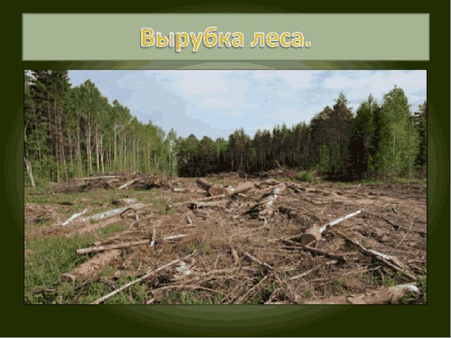 Презентация по экологическому воспитанию "Всемирный день защиты окружающей среды"