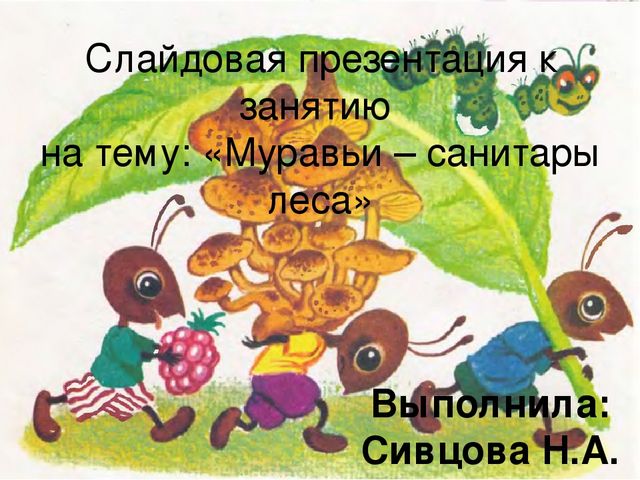 Презентация на тему : "Муравьи-санитары леса".