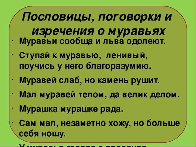Презентация на тему : "Муравьи-санитары леса".