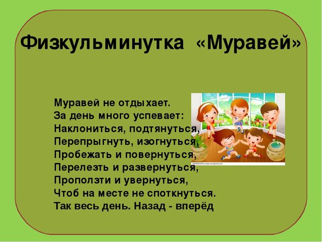 Презентация на тему : "Муравьи-санитары леса".
