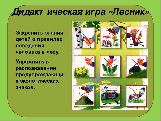 Презентация на тему : "Муравьи-санитары леса".