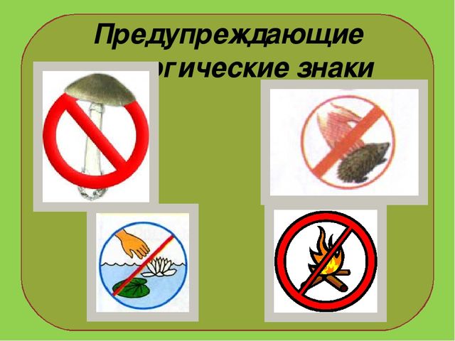 Презентация на тему : "Муравьи-санитары леса".