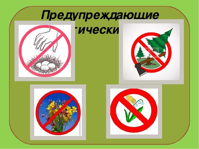Презентация на тему : "Муравьи-санитары леса".