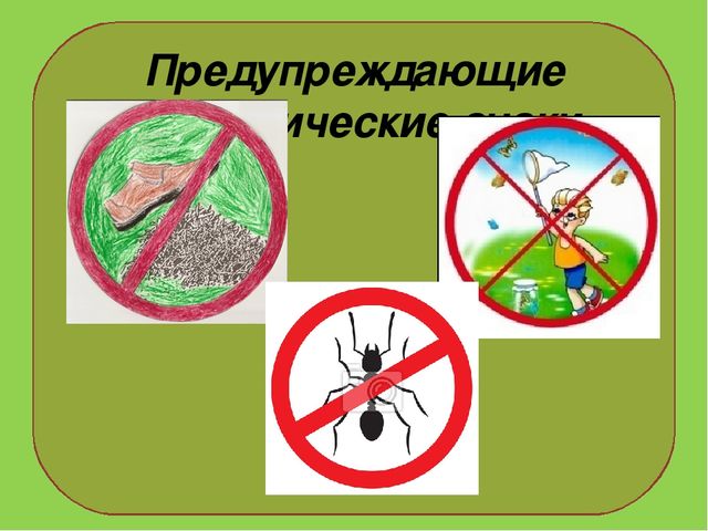 Презентация на тему : "Муравьи-санитары леса".