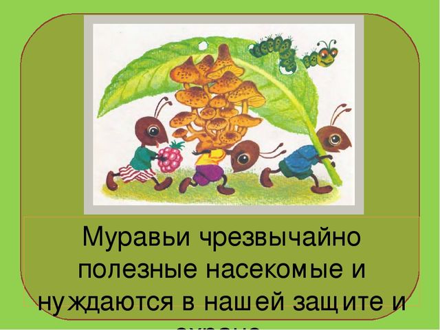Презентация на тему : "Муравьи-санитары леса".