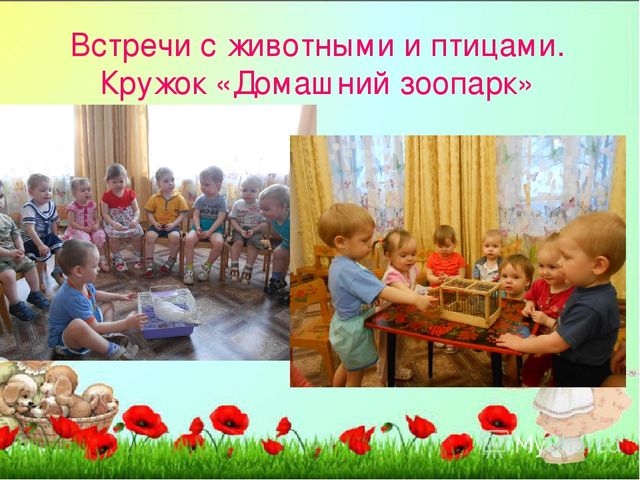 Из опыта работы "Образовательная деятельность детского сада по воспитанию у дошкольников безопасного поведения"