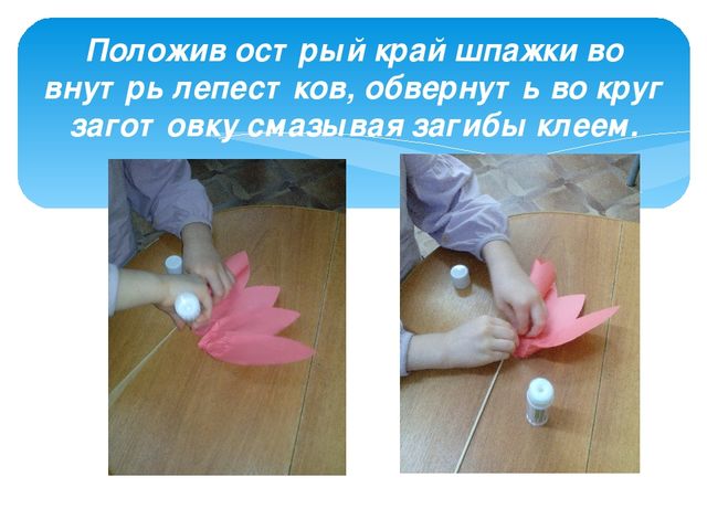 Презентация КОП "Тюльпан для мамы"