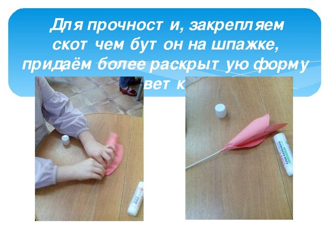 Презентация КОП "Тюльпан для мамы"