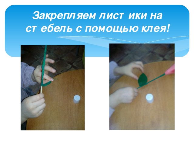 Презентация КОП "Тюльпан для мамы"