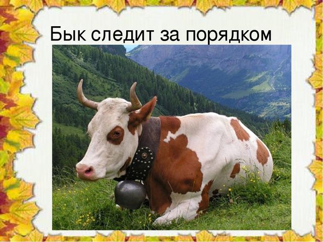 Презентация "Чудо колокольчики", ознакомление с окружающим миром