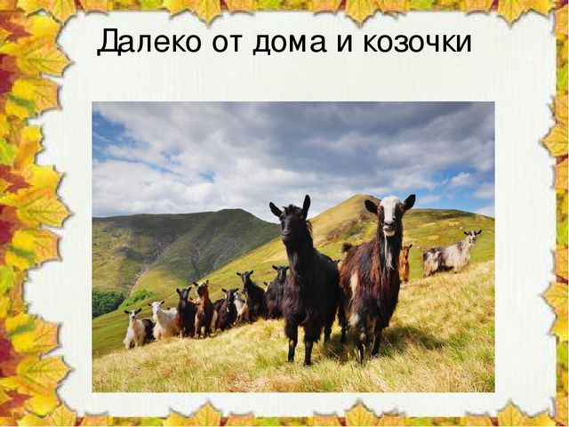 Презентация "Чудо колокольчики", ознакомление с окружающим миром