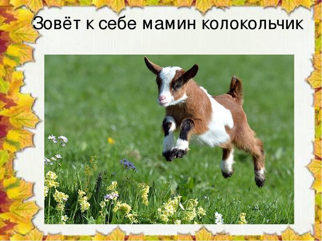 Презентация "Чудо колокольчики", ознакомление с окружающим миром
