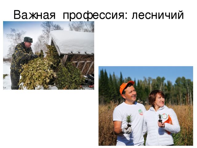 Презентация "Дикие животные весной"