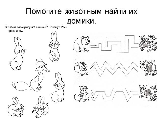 Презентация "Дикие животные весной"