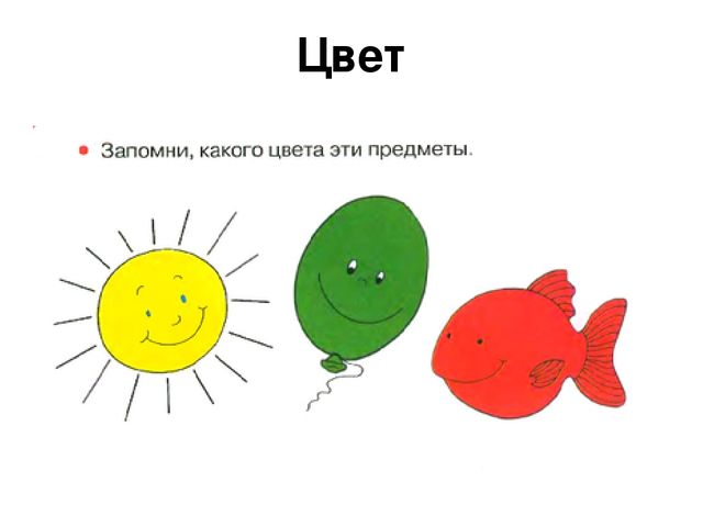 Презентация Математика с раннем интеллектуальным развитием в младшей группе