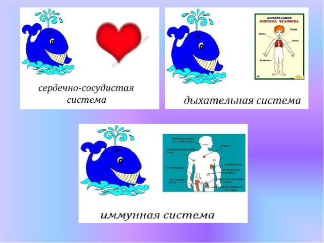 Презентация: " Создание условий здорового образа жизни в ДОУ"