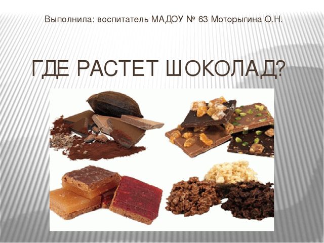 Презентация "Где растет шоколад" для детей старшего возраста.