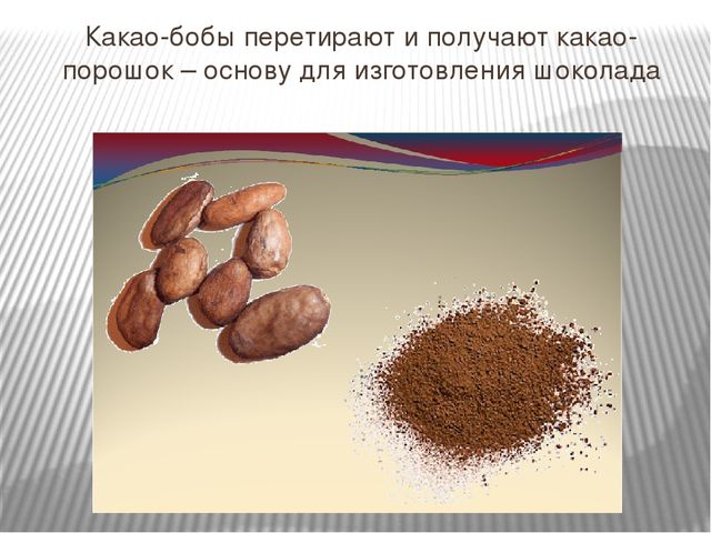Презентация "Где растет шоколад" для детей старшего возраста.