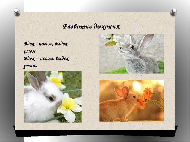 Презентация к конспекту "Звук и буква З"