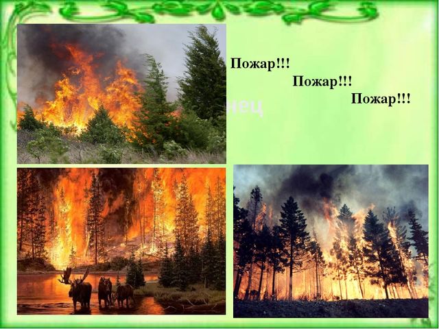 Презентация к ООД по окружающему миру для детей старшей группы детского сада Берегите лес от пожара"