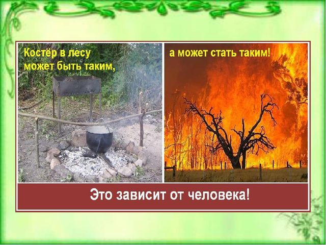 Презентация к ООД по окружающему миру для детей старшей группы детского сада Берегите лес от пожара"