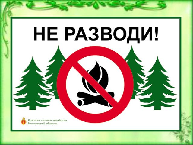 Презентация к ООД по окружающему миру для детей старшей группы детского сада Берегите лес от пожара"