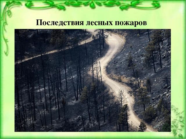 Презентация к ООД по окружающему миру для детей старшей группы детского сада Берегите лес от пожара"