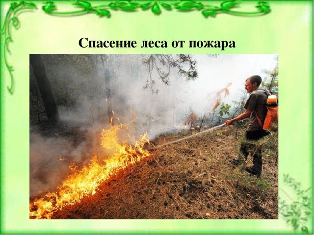 Презентация к ООД по окружающему миру для детей старшей группы детского сада Берегите лес от пожара"