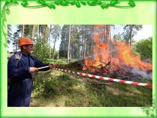 Презентация к ООД по окружающему миру для детей старшей группы детского сада Берегите лес от пожара"