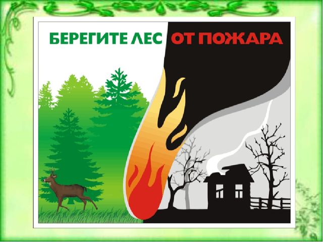 Презентация к ООД по окружающему миру для детей старшей группы детского сада Берегите лес от пожара"