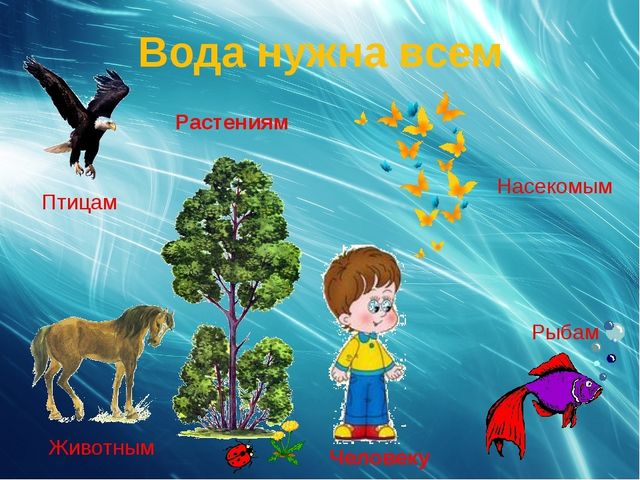 ПРЕЗЕНТАЦИЯ К ЗАНЯТИЮ ПО ЭКСПЕРЕМЕНТИРОВАНИЮ " ДЛЯ ЧЕГО НУЖНА ВОДА И ЕЕ СВОЙСТВА"