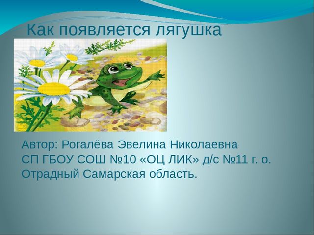 Дидактическая игра: "Как появляется лягушка"