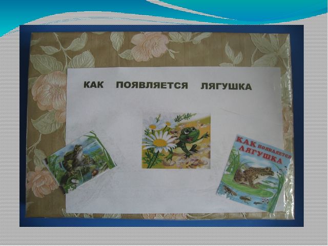 Дидактическая игра: "Как появляется лягушка"