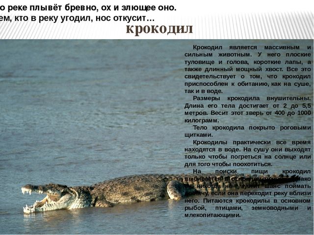 Презентация по ознакомлению с окружающим миром природы на тему "Африка" (подготовительная группа)
