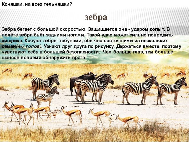 Презентация по ознакомлению с окружающим миром природы на тему "Африка" (подготовительная группа)