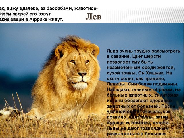 Презентация по ознакомлению с окружающим миром природы на тему "Африка" (подготовительная группа)