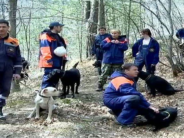 Презентация по приобщение к социально-культурным ценностям тема: МЧС