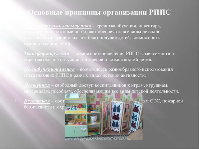 Организация развивающей предметно-пространственной среды дошкольников в соответствии с требованиями ФГОС ДО