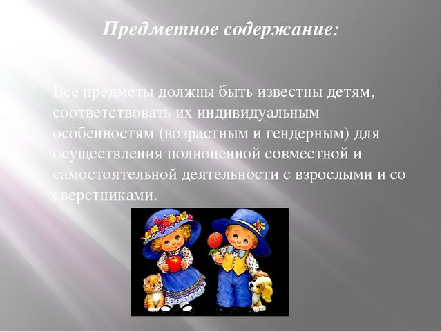 Организация развивающей предметно-пространственной среды дошкольников в соответствии с требованиями ФГОС ДО