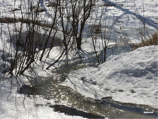 Презентация к сценарию музыкального занятия в старшей группе