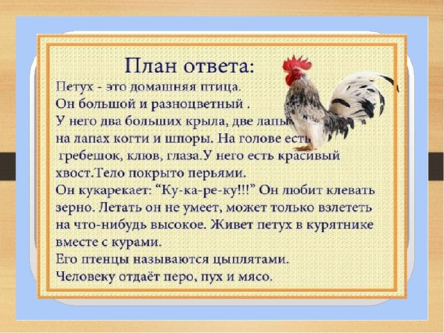 Презентация на тему: Домашние птицы