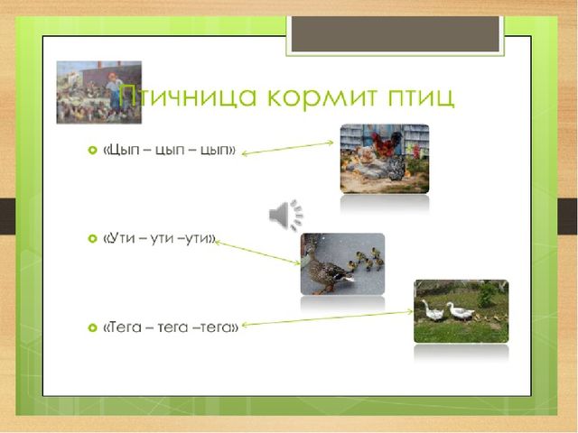 Презентация на тему: Домашние птицы