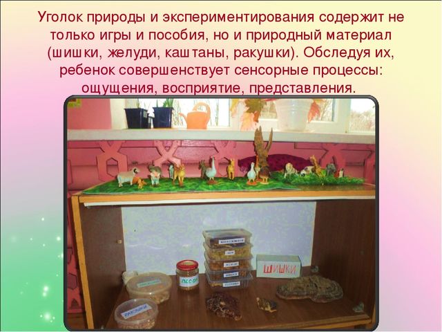Презентация "Развитие сенсорных способностей через дидактические игры у детей"