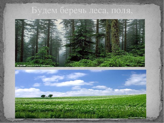 Презентация на тему экология "Моя планета"